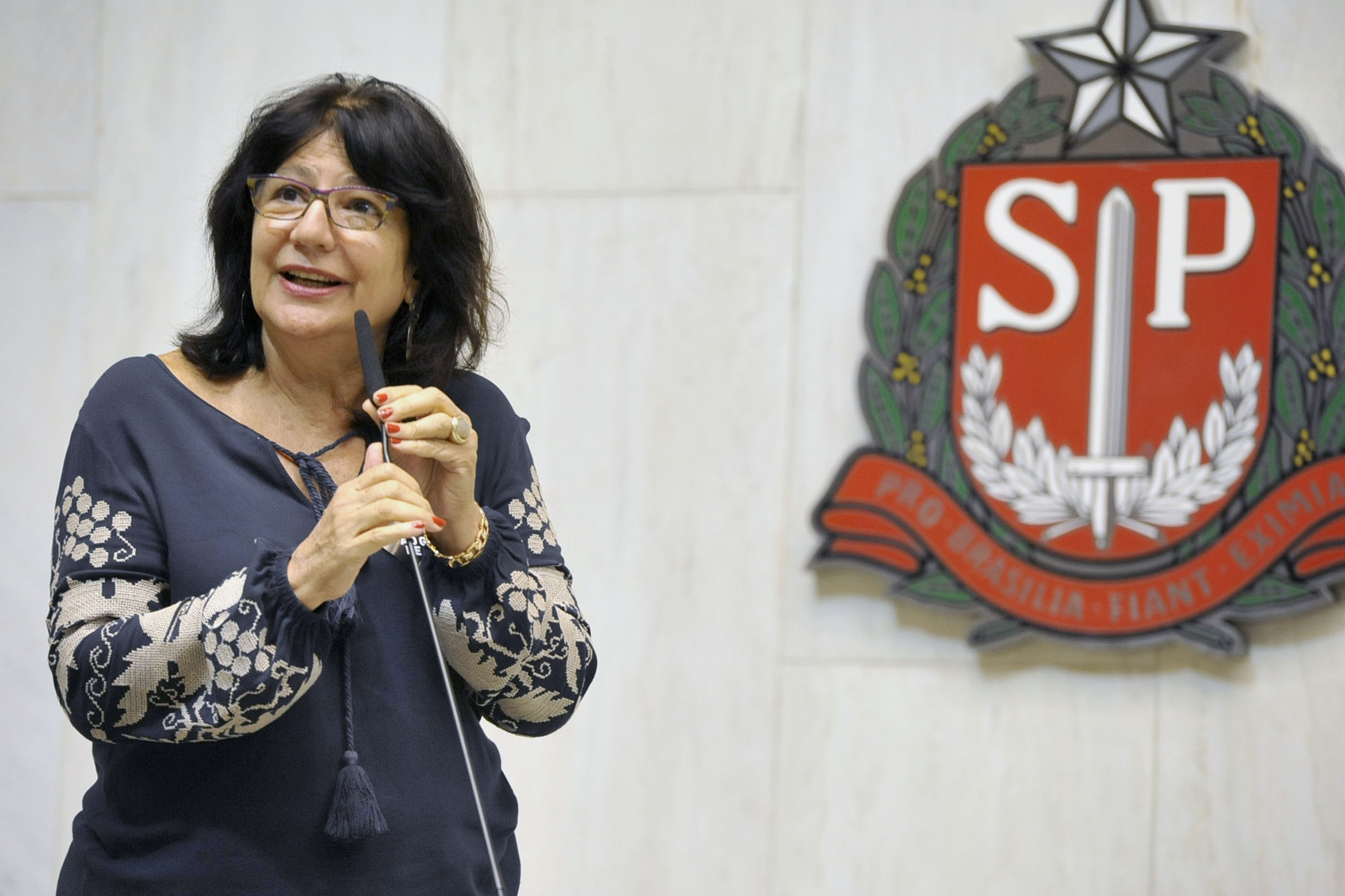 Beth Sahão critica gastos do governo