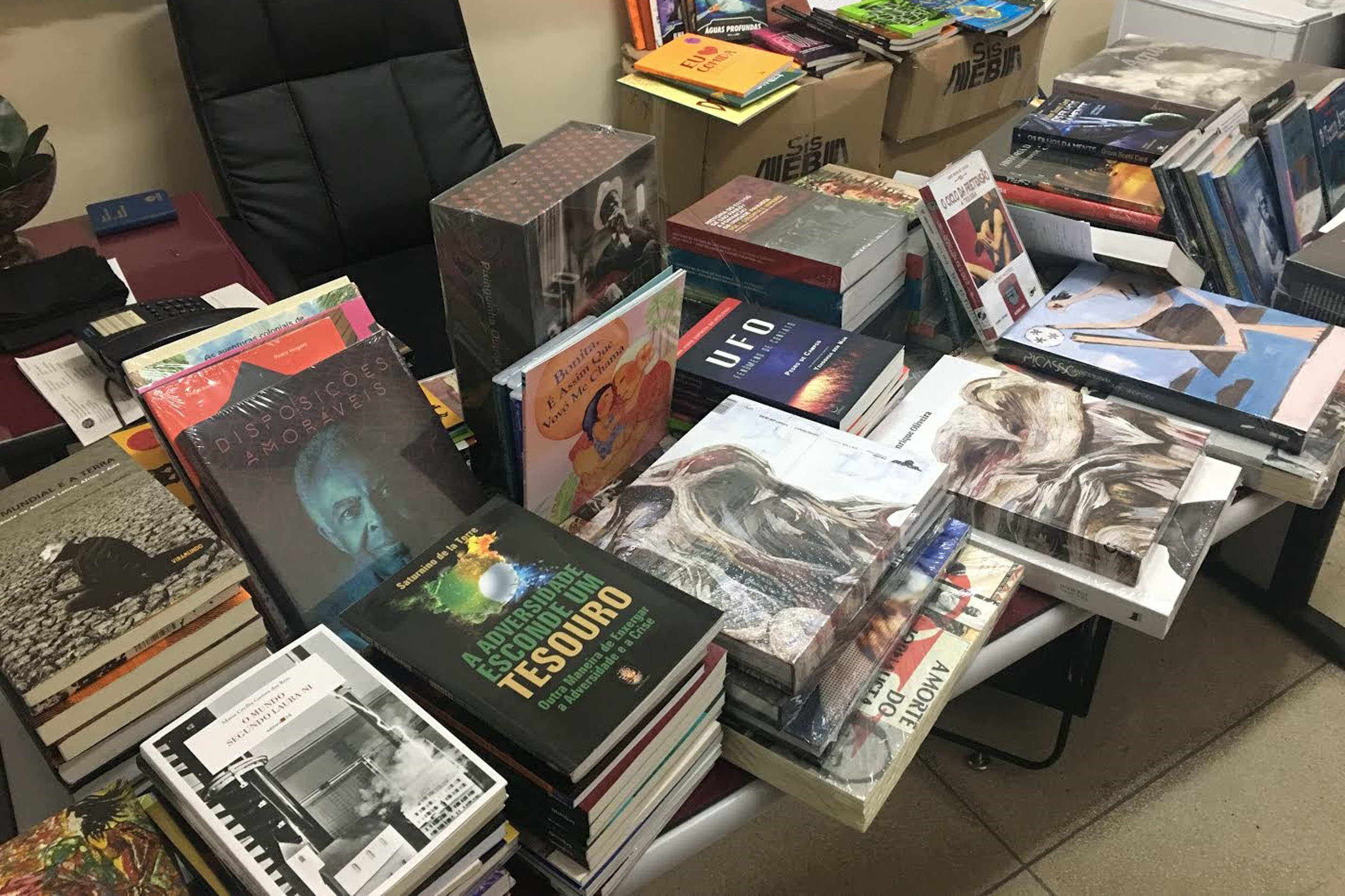 Novos livros para a biblioteca de Limeira